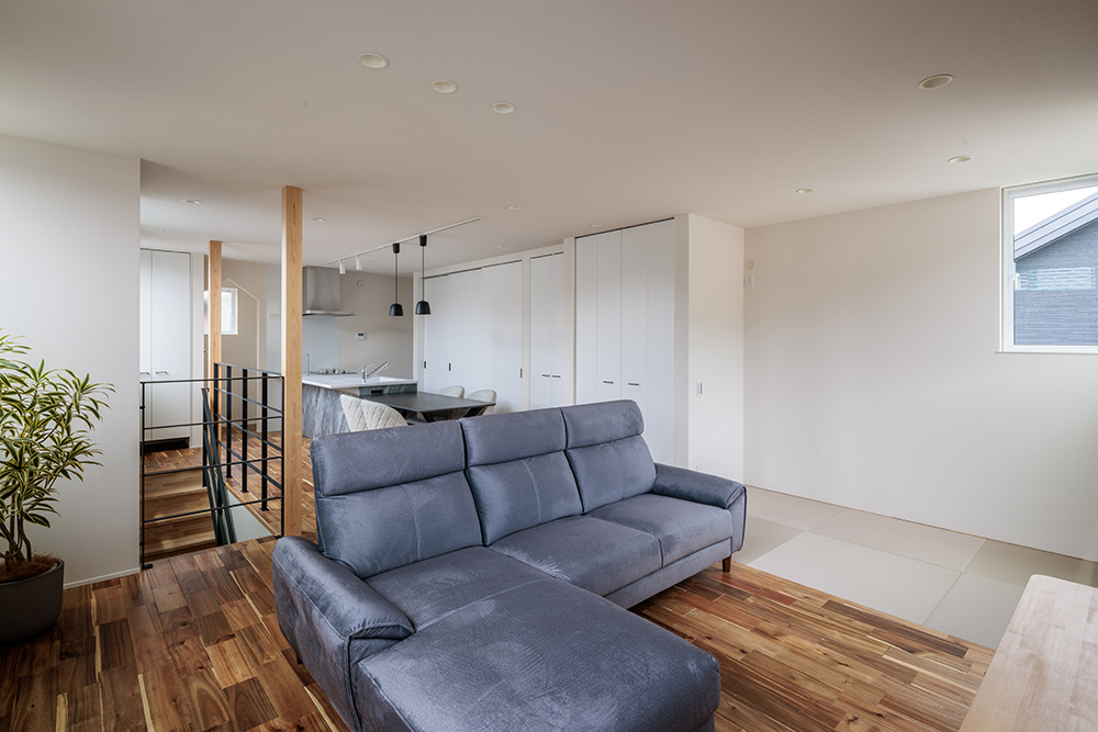 静岡の気候や環境の特徴とは？